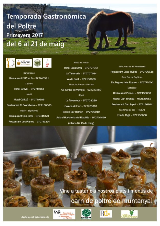 cartell TGpoltre2017