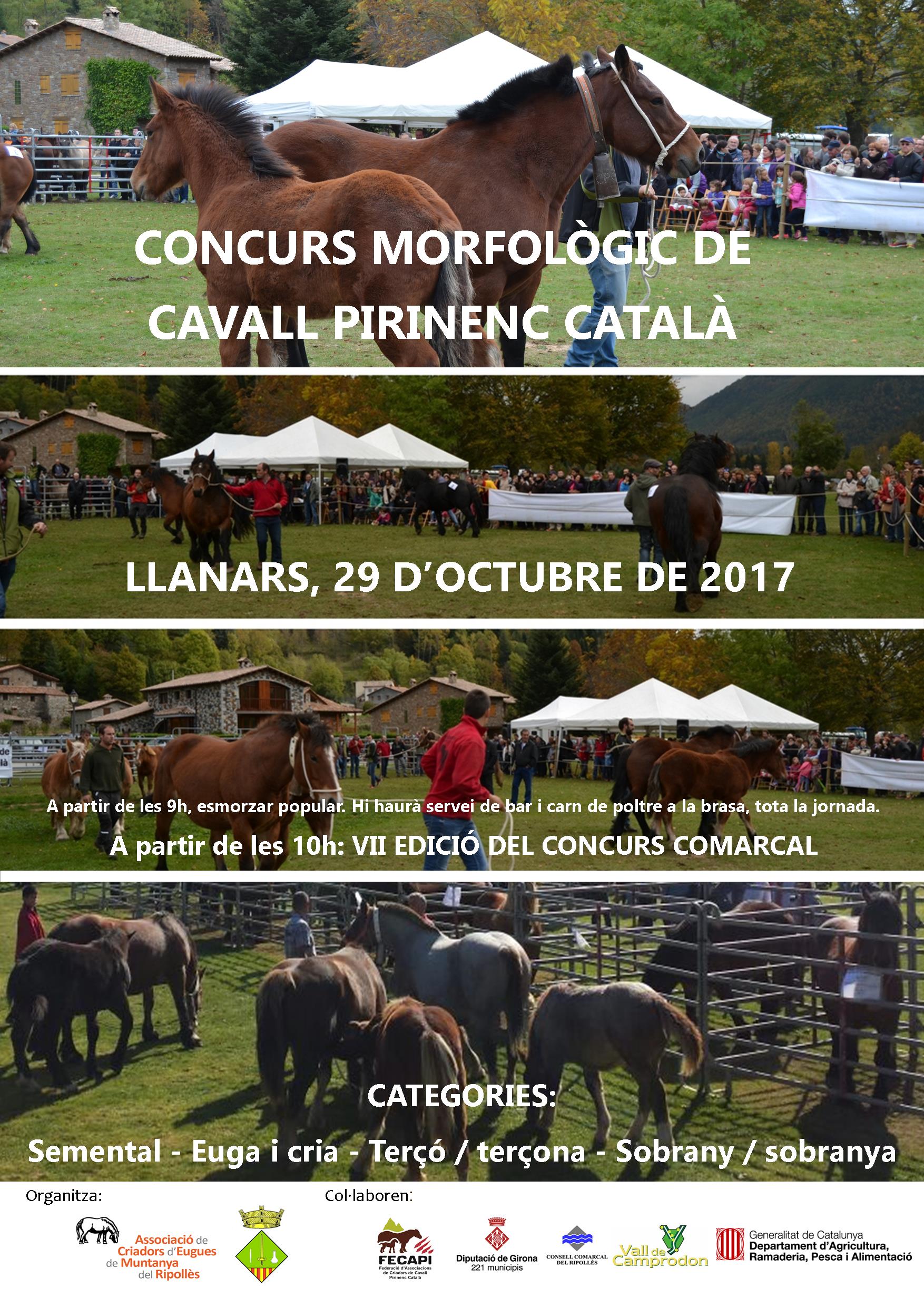 cartell CCCPC2017