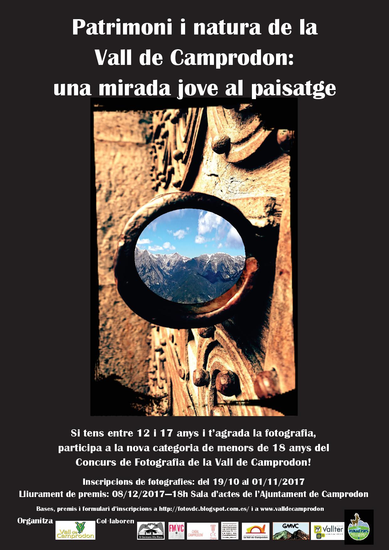 cartell categoria nova 2017 (1)