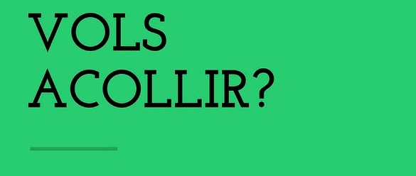 cartell acull