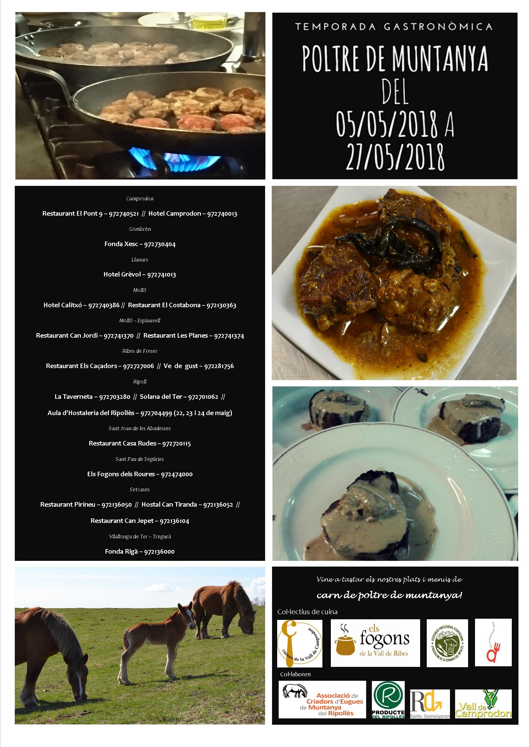 cartell TG poltre 2018 (1)