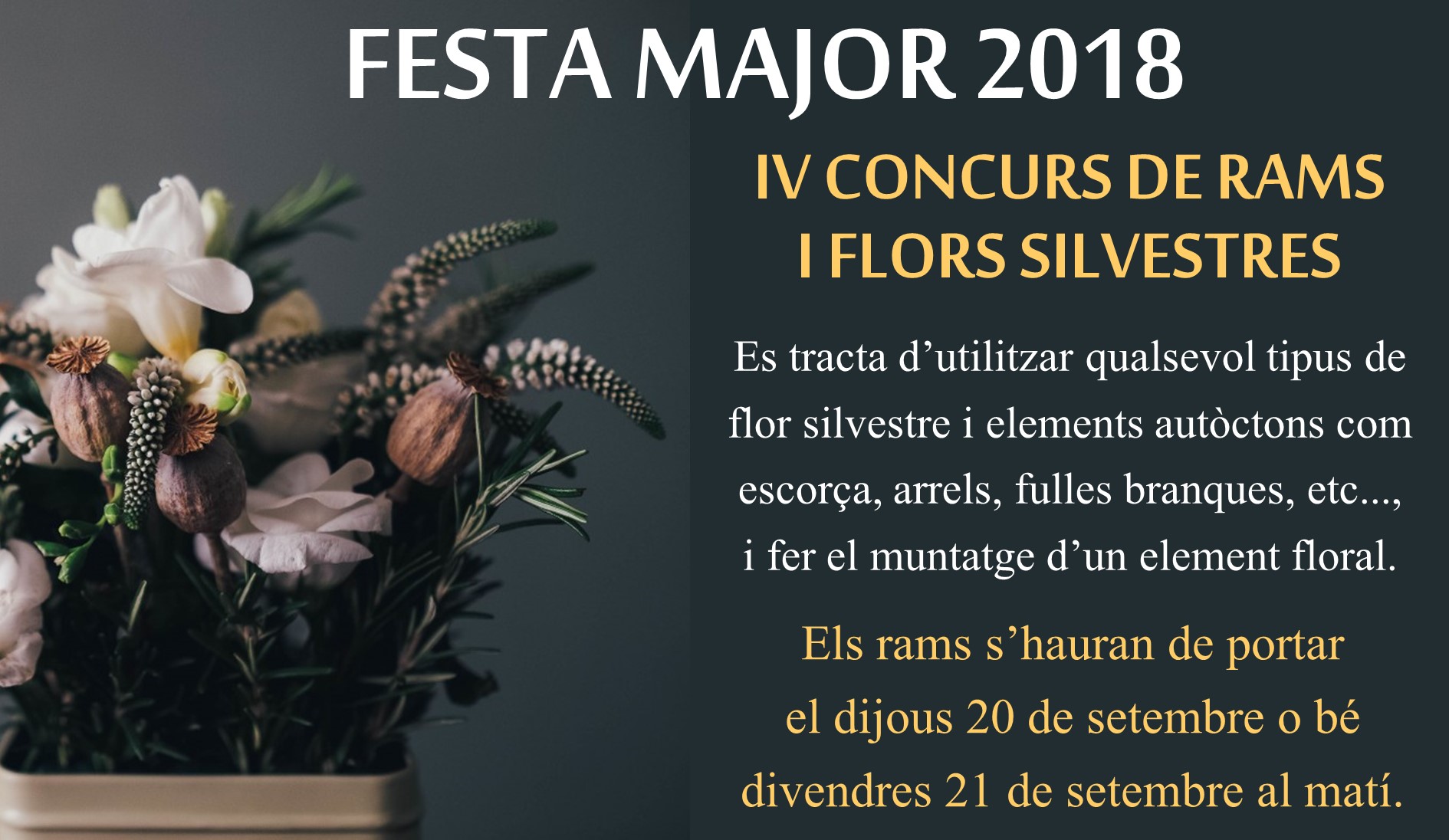 concurs de rams cartell pantalla