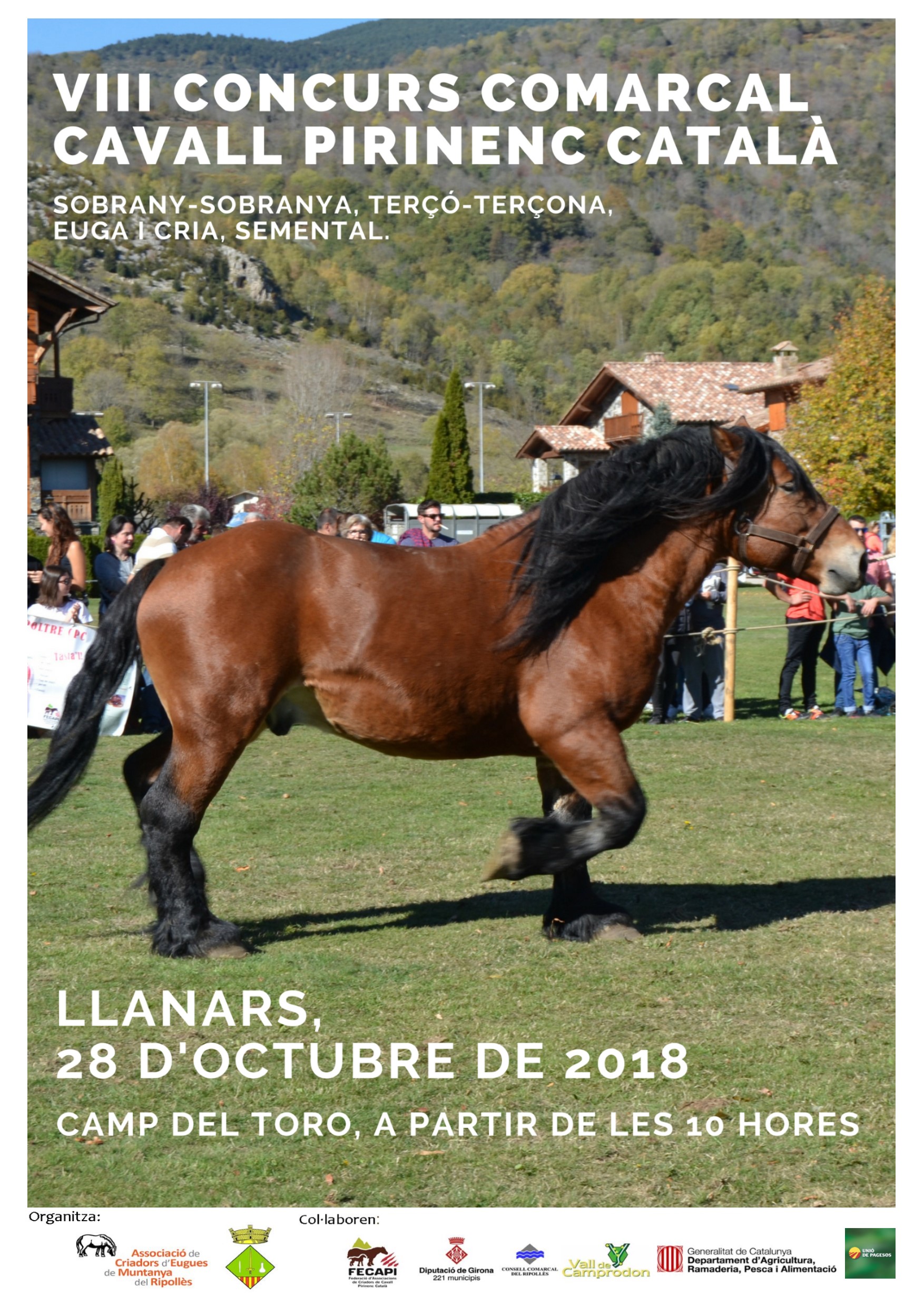cartell CCCPC2018