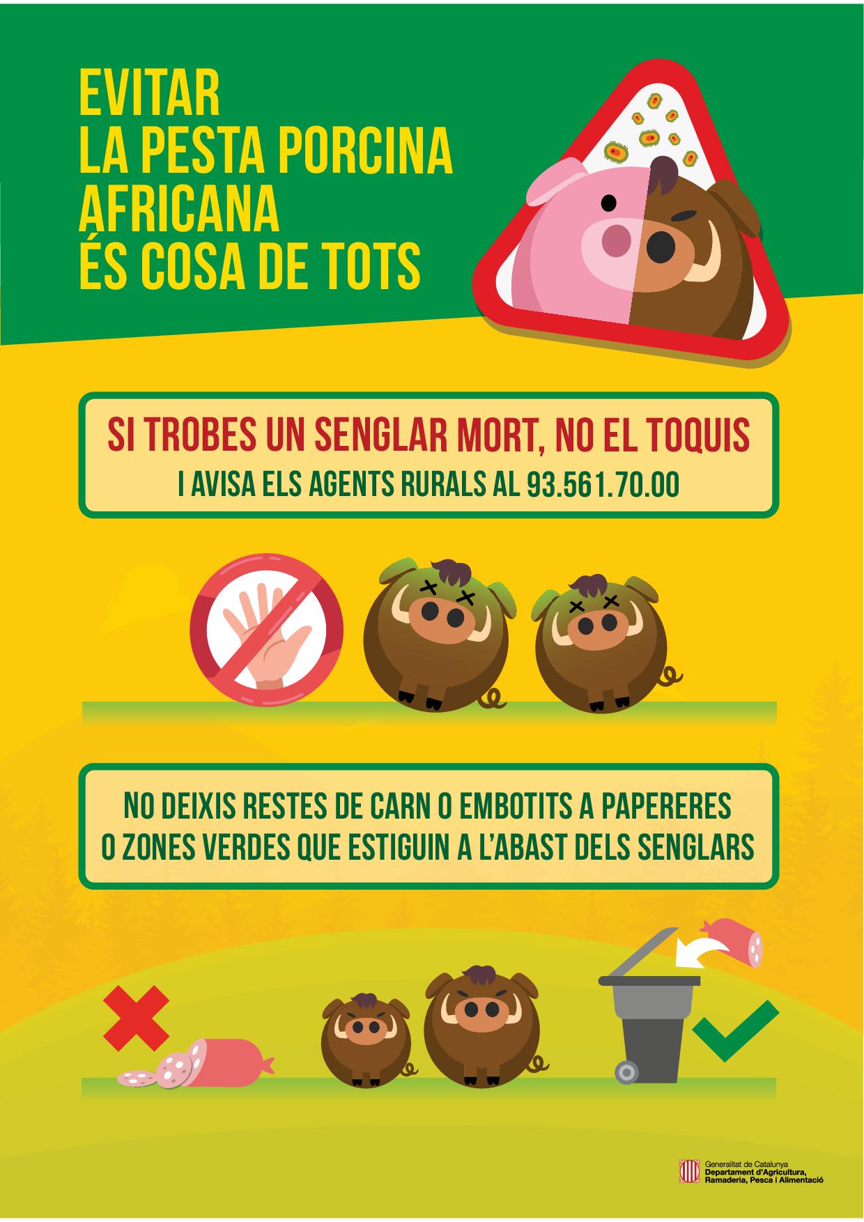 poster-senglar-pesta-porcina-africana