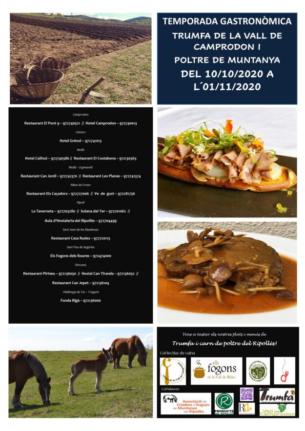 cartell TG trumfa i poltre 2020
