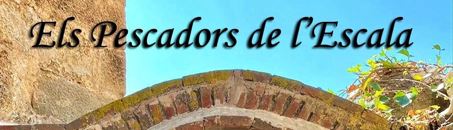 WEB HAVANERES