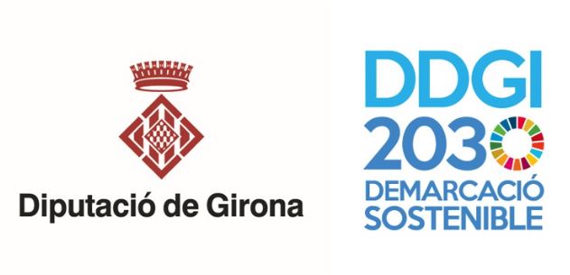 ddgi 2020