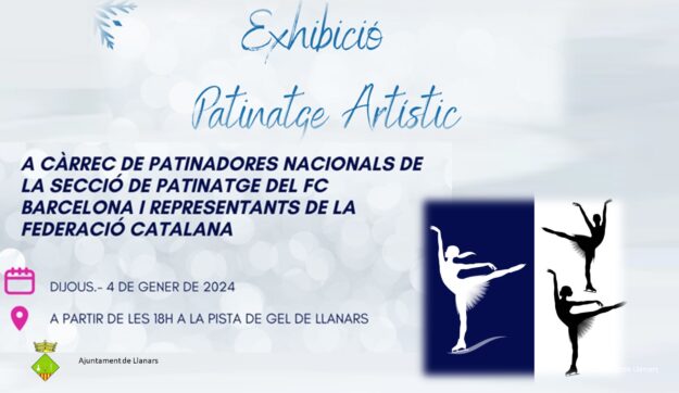 PATINATGE ARTÍSTIC2 -jpg