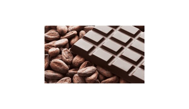 DESTACADA XOCOLATA