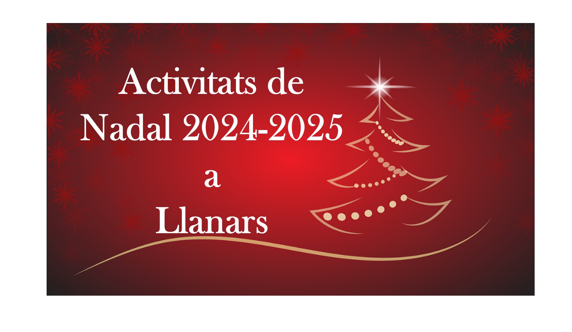 activitats ok web 24-25